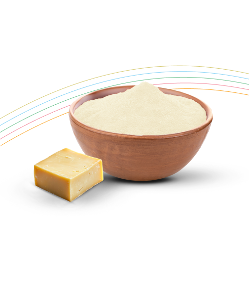 Spray Dried <br/> Cheese Powder