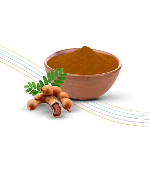 Spray Dried <br/> Tamarind Powder
